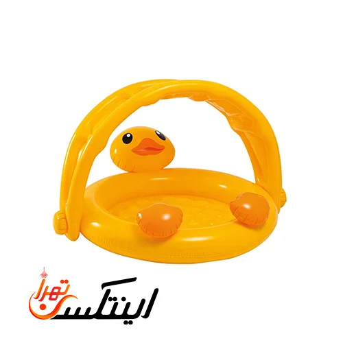 استخر بادی کودک در طرح اردک اینتکس